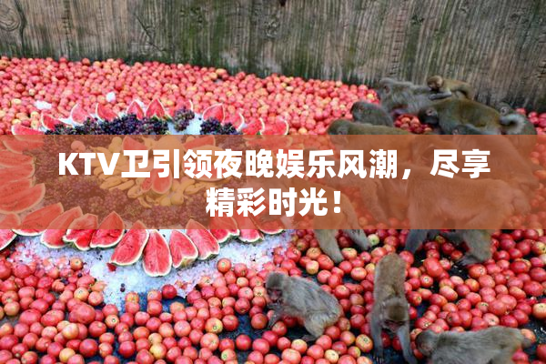 KTV卫引领夜晚娱乐风潮，尽享精彩时光！