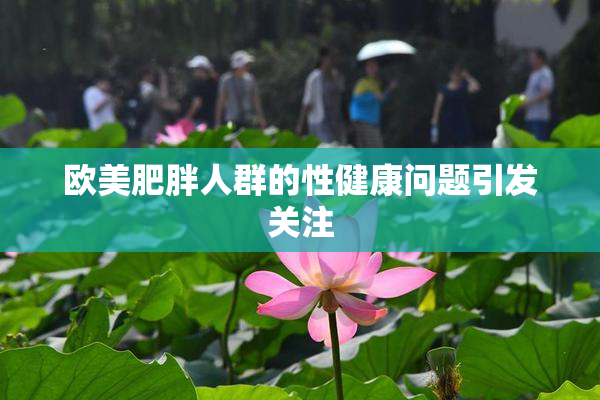 欧美肥胖人群的性健康问题引发关注