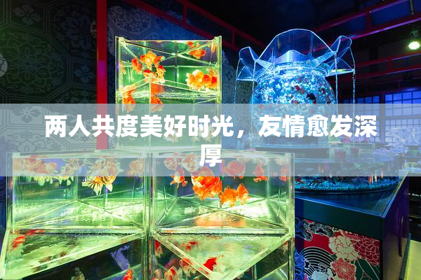 两人共度美好时光，友情愈发深厚