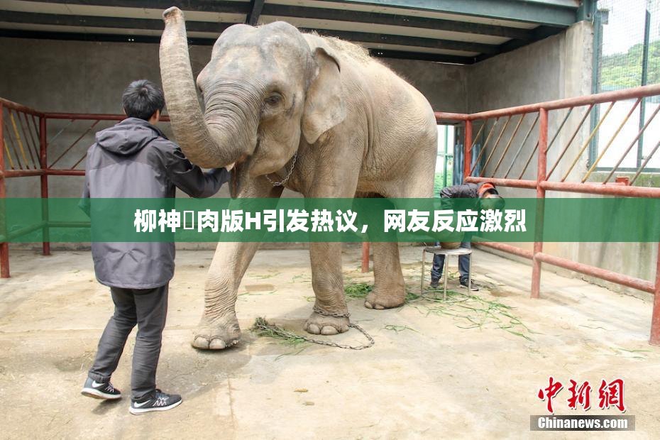 柳神婬肉版H引发热议，网友反应激烈