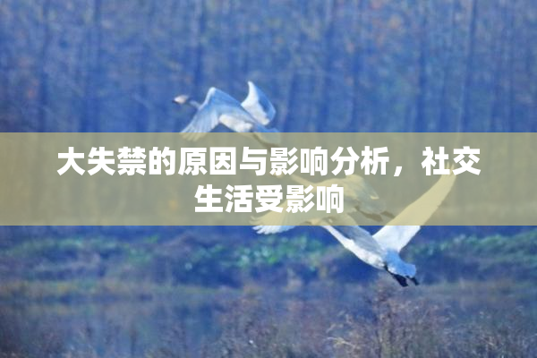 大失禁的原因与影响分析，社交生活受影响