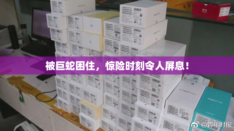 被巨蛇困住，惊险时刻令人屏息！