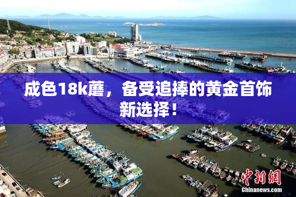 成色18k蘑，备受追捧的黄金首饰新选择！