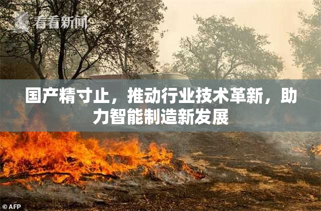 国产精寸止，推动行业技术革新，助力智能制造新发展