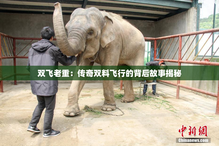 双飞老重：传奇双料飞行的背后故事揭秘