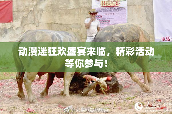 动漫迷狂欢盛宴来临，精彩活动等你参与！