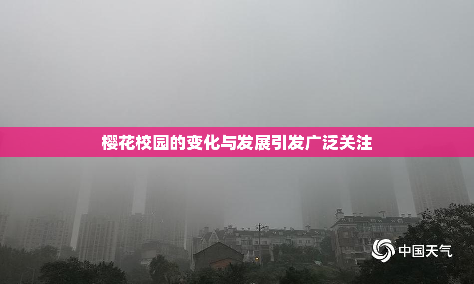 樱花校园的变化与发展引发广泛关注