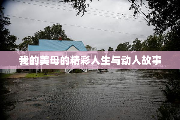 我的美母的精彩人生与动人故事