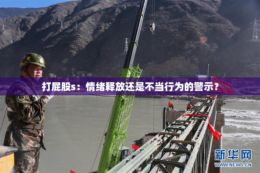 打屁股s：情绪释放还是不当行为的警示？
