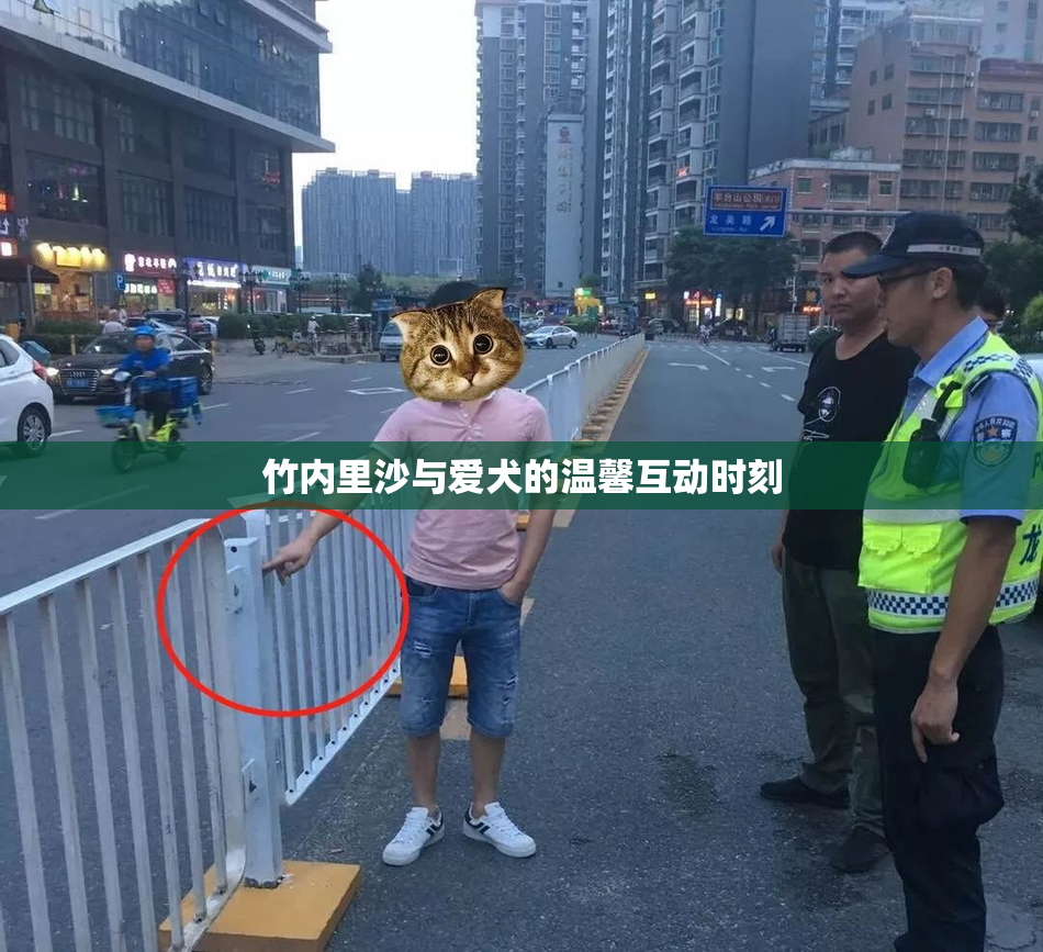 竹内里沙与爱犬的温馨互动时刻