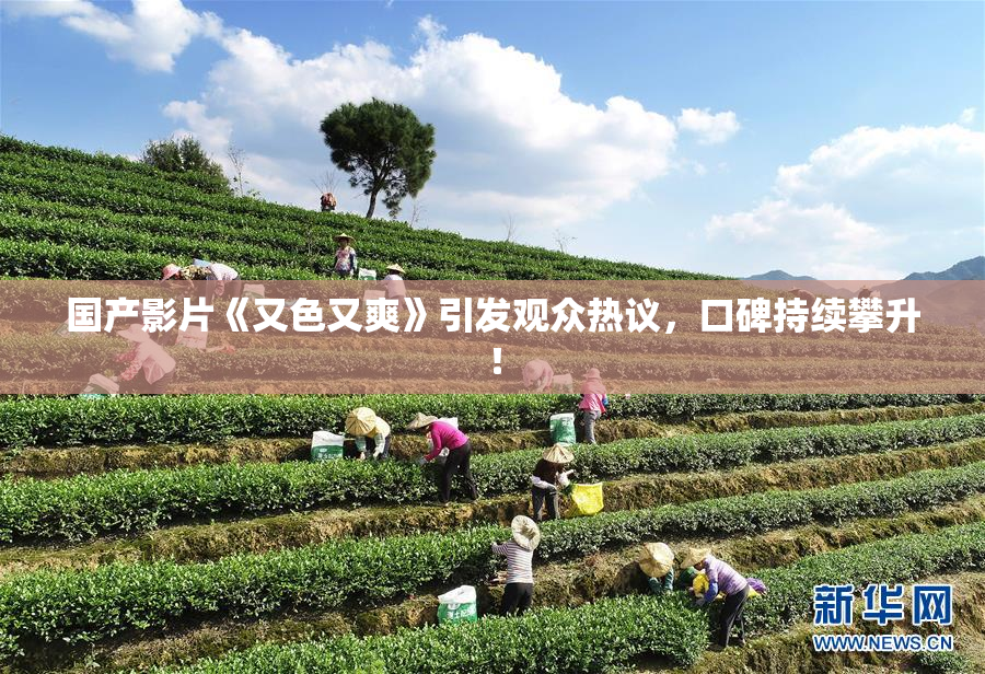 国产影片《又色又爽》引发观众热议，口碑持续攀升！
