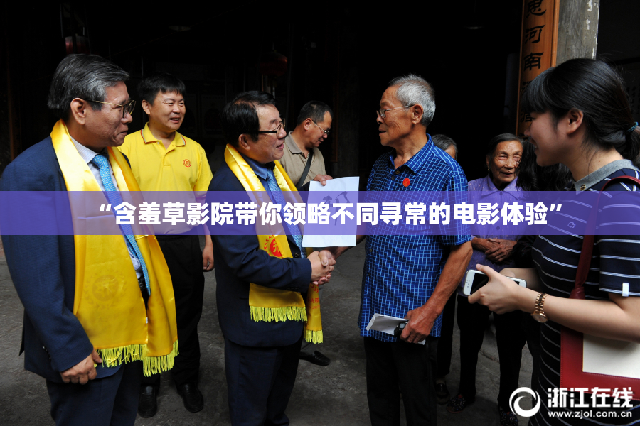 “含羞草影院带你领略不同寻常的电影体验”