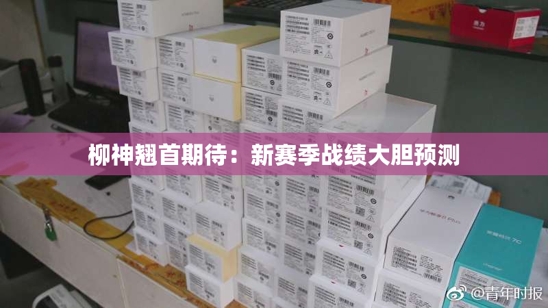 柳神翘首期待：新赛季战绩大胆预测