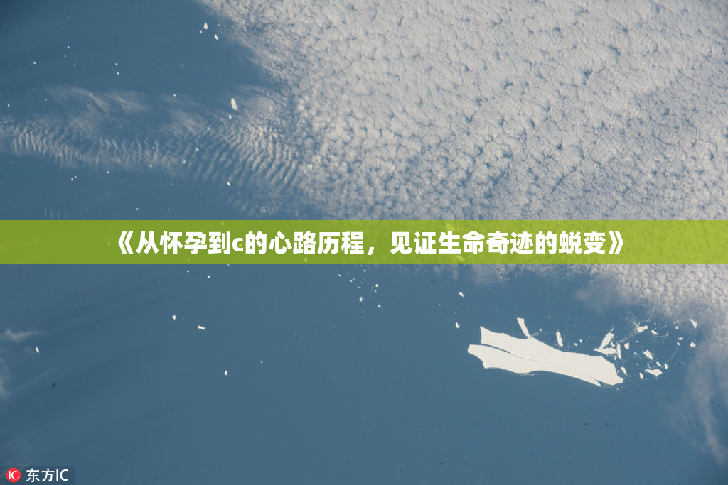 《从怀孕到c的心路历程，见证生命奇迹的蜕变》