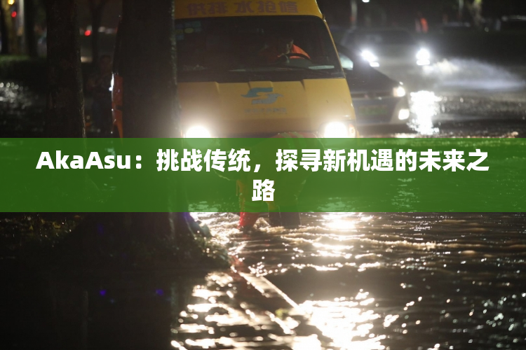 AkaAsu：挑战传统，探寻新机遇的未来之路
