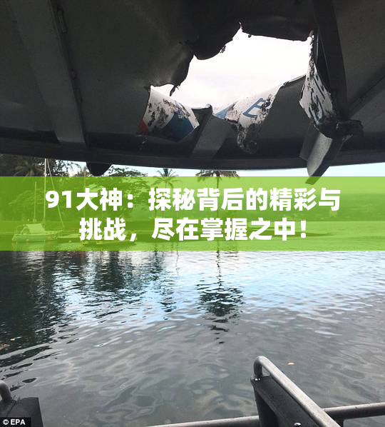 91大神：探秘背后的精彩与挑战，尽在掌握之中！