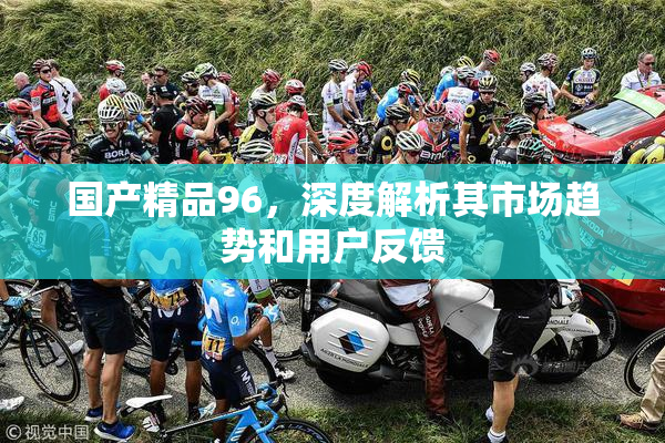 国产精品96，深度解析其市场趋势和用户反馈