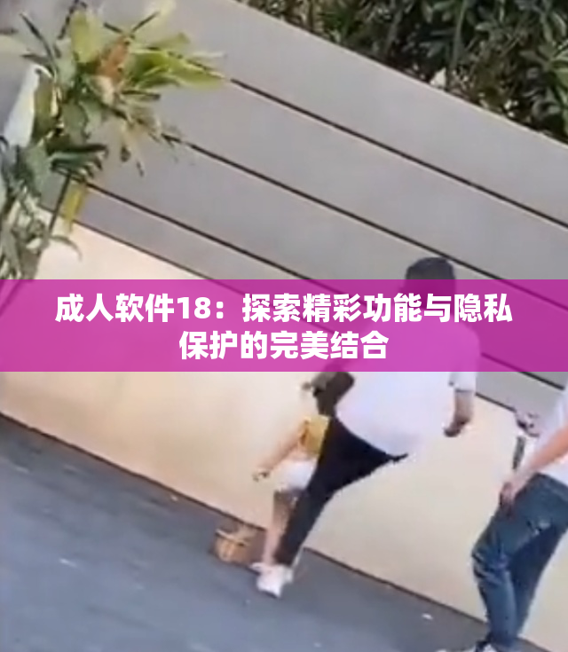 成人软件18：探索精彩功能与隐私保护的完美结合