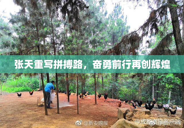 张天重写拼搏路，奋勇前行再创辉煌