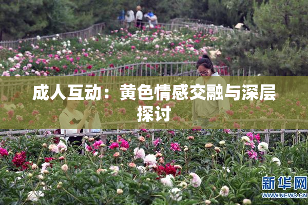 成人互动：黄色情感交融与深层探讨
