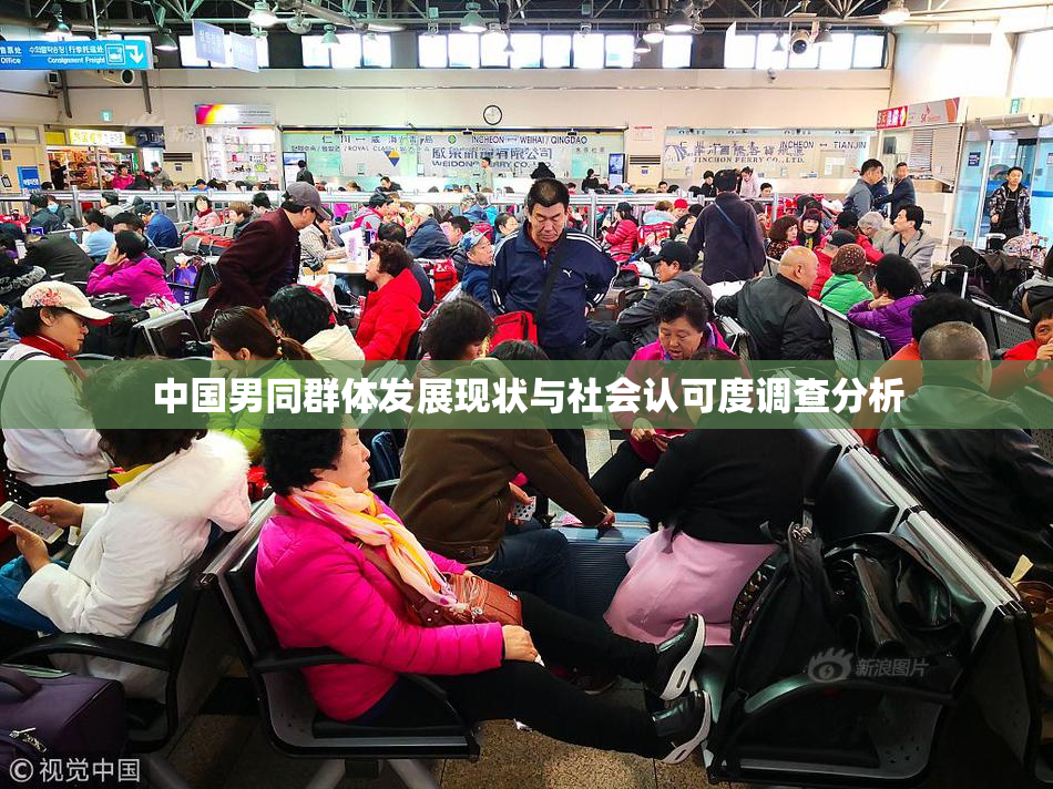 中国男同群体发展现状与社会认可度调查分析