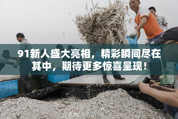 91新人盛大亮相，精彩瞬间尽在其中，期待更多惊喜呈现！