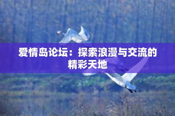爱情岛论坛：探索浪漫与交流的精彩天地