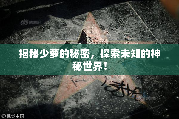 揭秘少萝的秘密，探索未知的神秘世界！