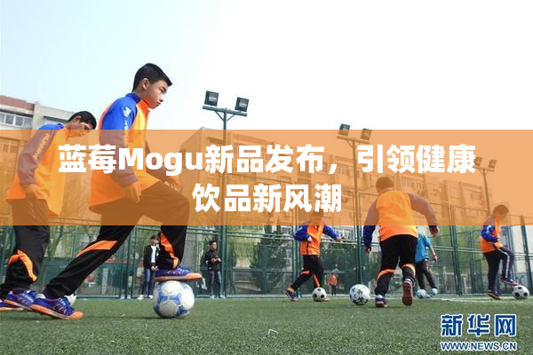 蓝莓Mogu新品发布，引领健康饮品新风潮
