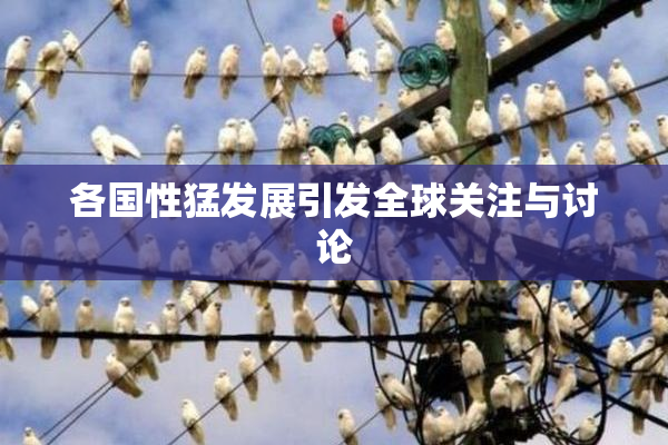 各国性猛发展引发全球关注与讨论
