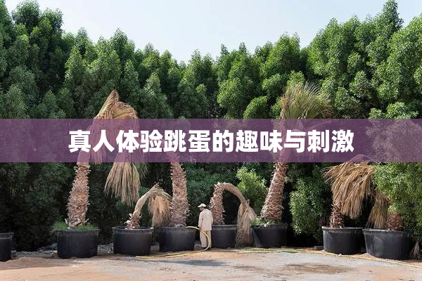真人体验跳蛋的趣味与刺激