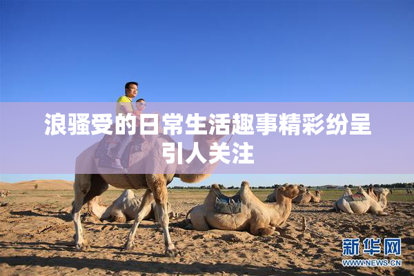 浪骚受的日常生活趣事精彩纷呈引人关注