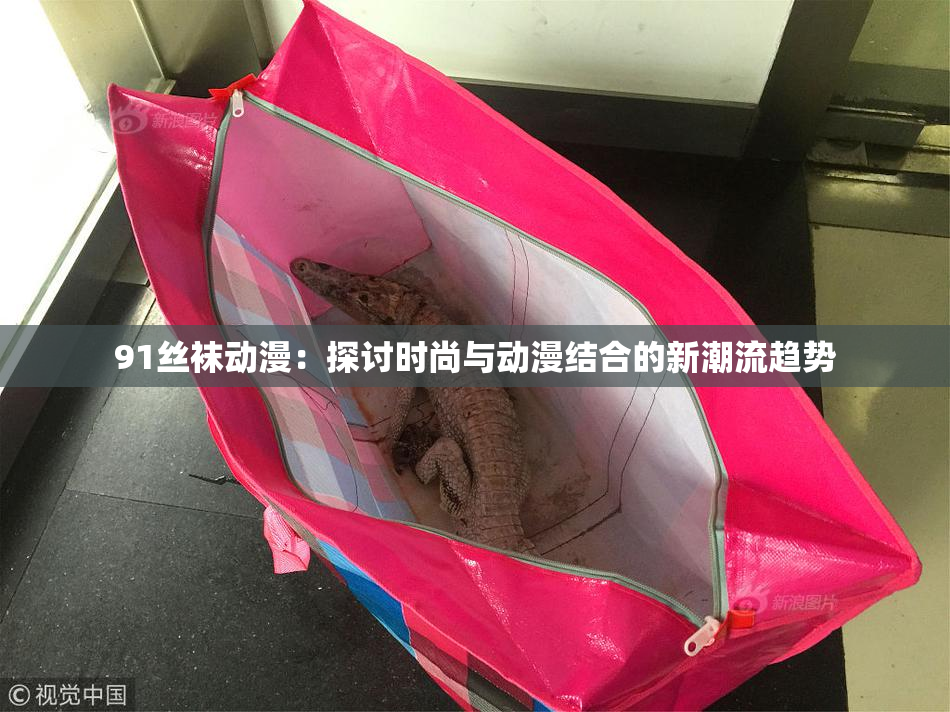 91丝袜动漫：探讨时尚与动漫结合的新潮流趋势