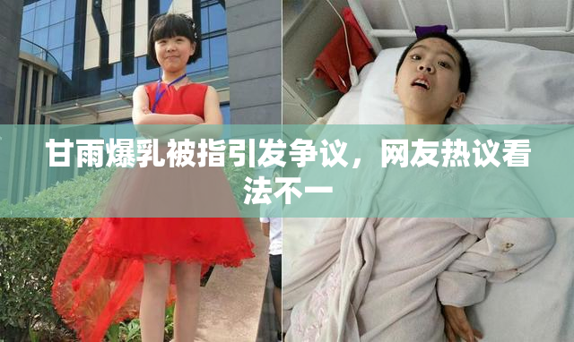 甘雨爆乳被指引发争议，网友热议看法不一