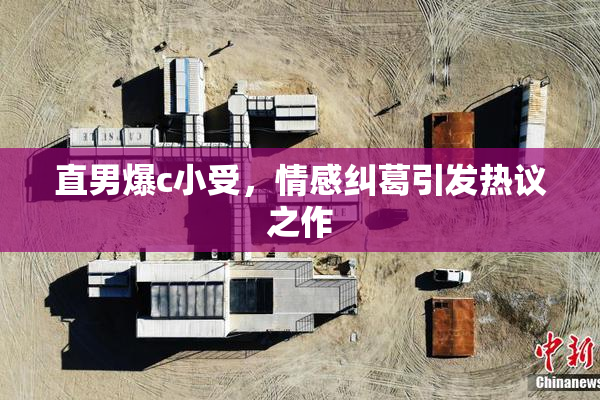 直男爆c小受，情感纠葛引发热议之作