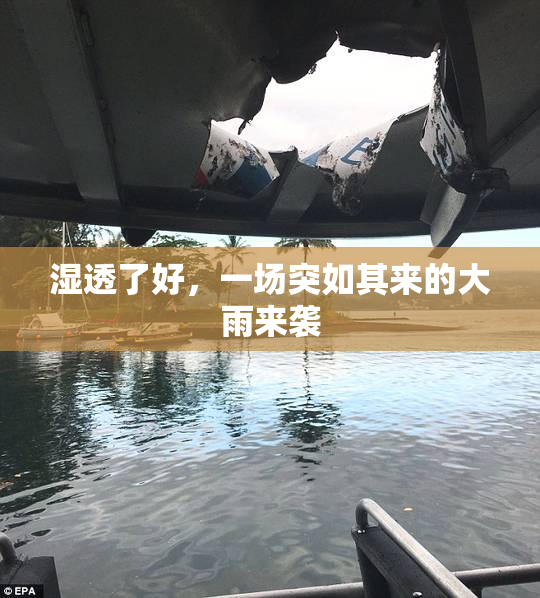 湿透了好，一场突如其来的大雨来袭