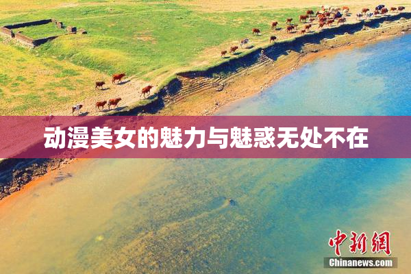 动漫美女的魅力与魅惑无处不在