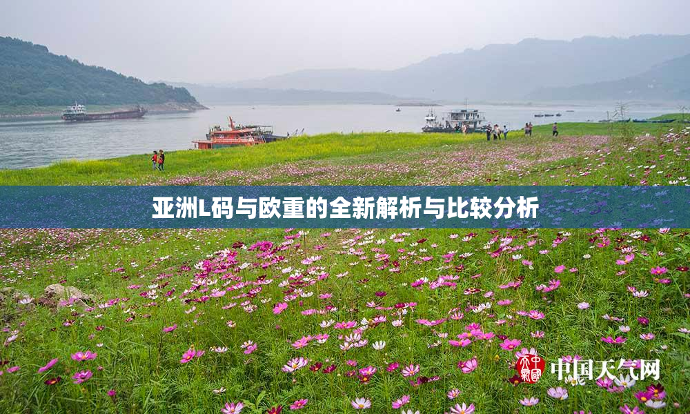 亚洲L码与欧重的全新解析与比较分析