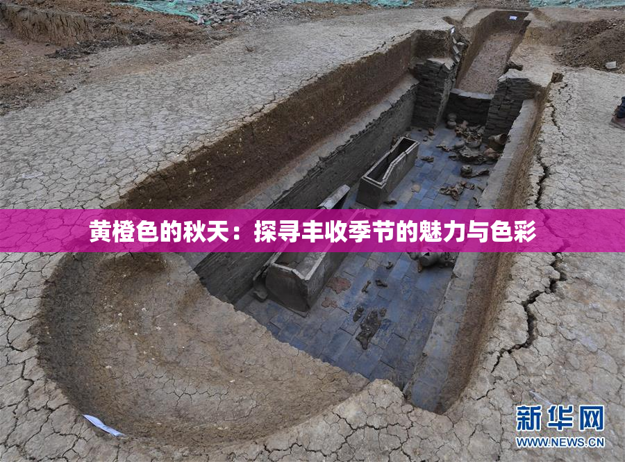 黄橙色的秋天：探寻丰收季节的魅力与色彩