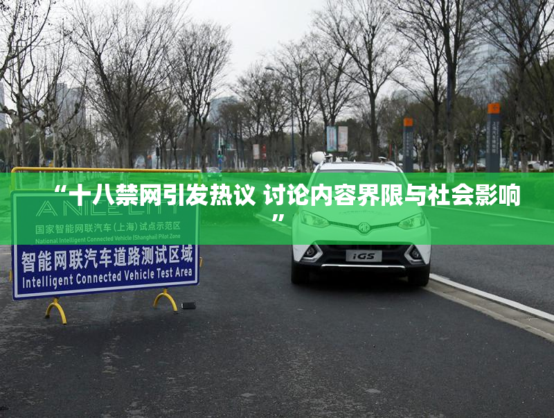“十八禁网引发热议 讨论内容界限与社会影响”