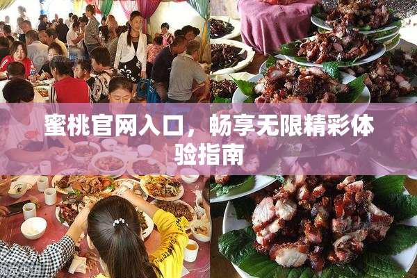 蜜桃官网入口，畅享无限精彩体验指南