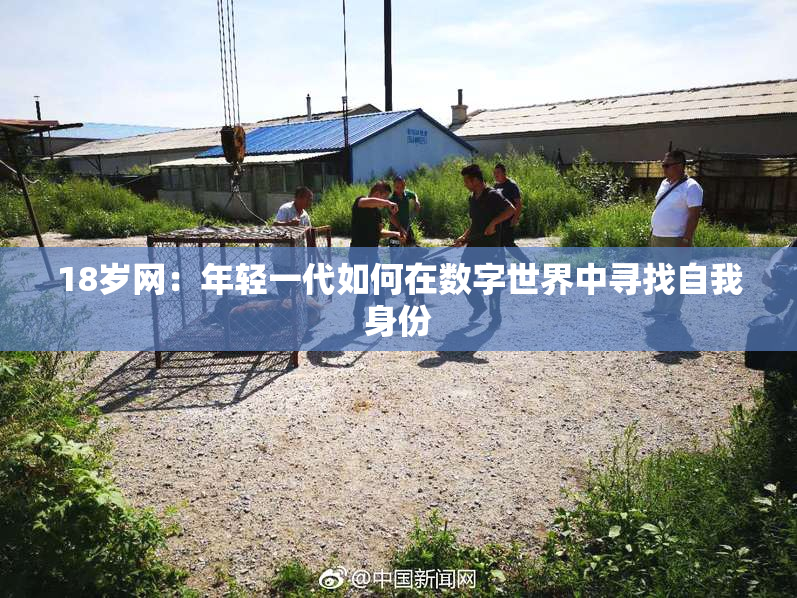 18岁网：年轻一代如何在数字世界中寻找自我身份