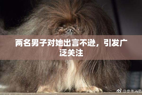 两名男子对她出言不逊，引发广泛关注