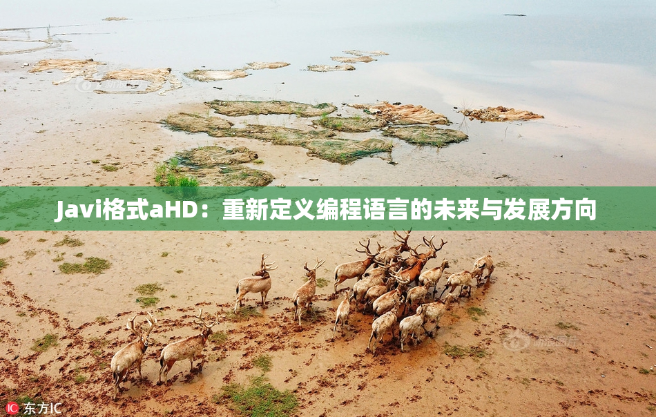 Javi格式aHD：重新定义编程语言的未来与发展方向