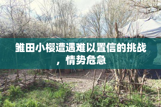 雏田小樱遭遇难以置信的挑战，情势危急