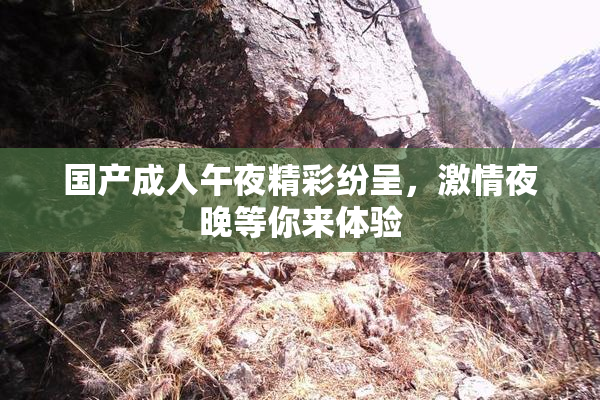 国产成人午夜精彩纷呈，激情夜晚等你来体验