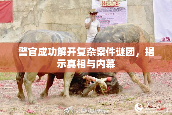 警官成功解开复杂案件谜团，揭示真相与内幕