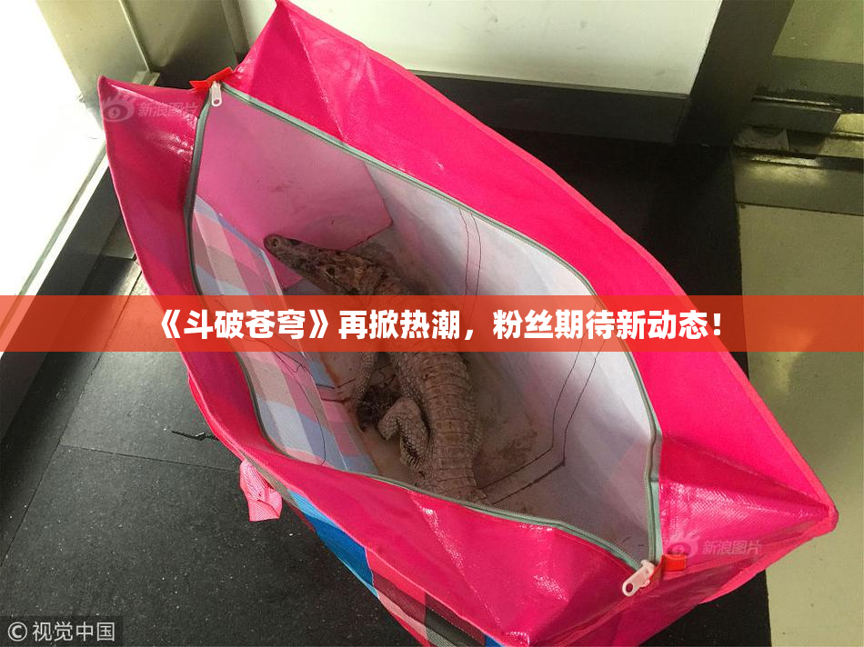 《斗破苍穹》再掀热潮，粉丝期待新动态！