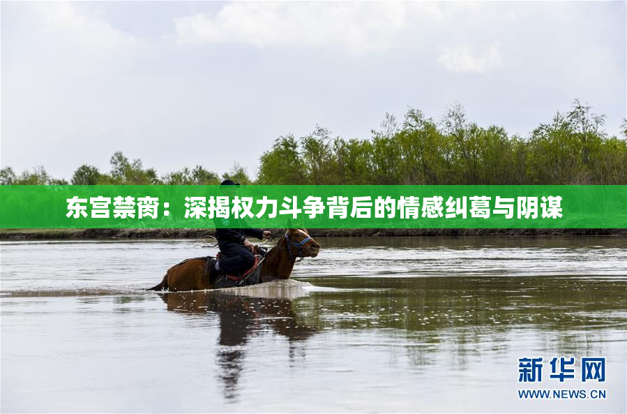 东宫禁脔：深揭权力斗争背后的情感纠葛与阴谋