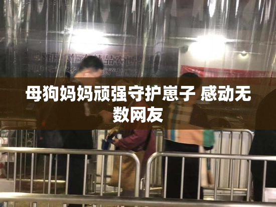 母狗妈妈顽强守护崽子 感动无数网友